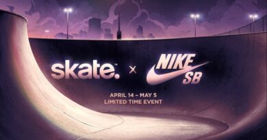 skate x nike sb